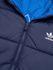 adidas Originals - ADIC REV JKT - padded jackets - nindig/blubir - 6