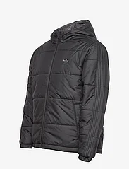 adidas Originals - ADIC REV JKT - vinterjackor - black/grefiv - 2