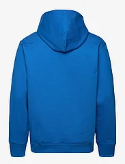 adidas Originals - C Hoodie - džemperi ar kapuci - blubir - 1