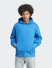 adidas Originals - C Hoodie - džemperi ar kapuci - blubir - 2