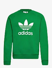 adidas Originals - Adicolor Classics Trefoil Crewneck Sweatshirt - midlayer-jakker - green - 0