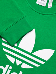 adidas Originals - Adicolor Classics Trefoil Crewneck Sweatshirt - midlayer-jakker - green - 2