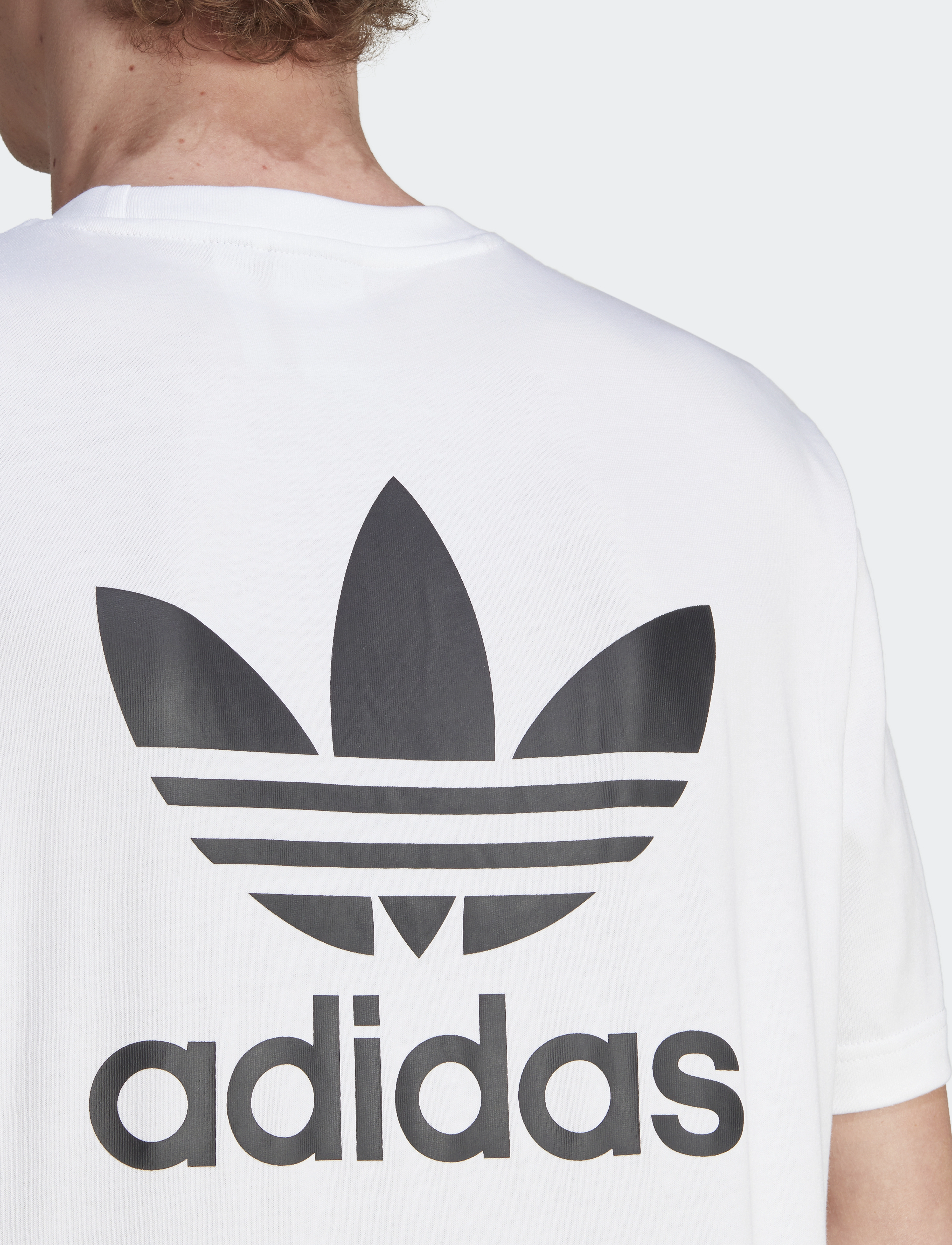 adidas Originals - B+F TREFOIL TEE - tops & t-shirts - white/black - 4
