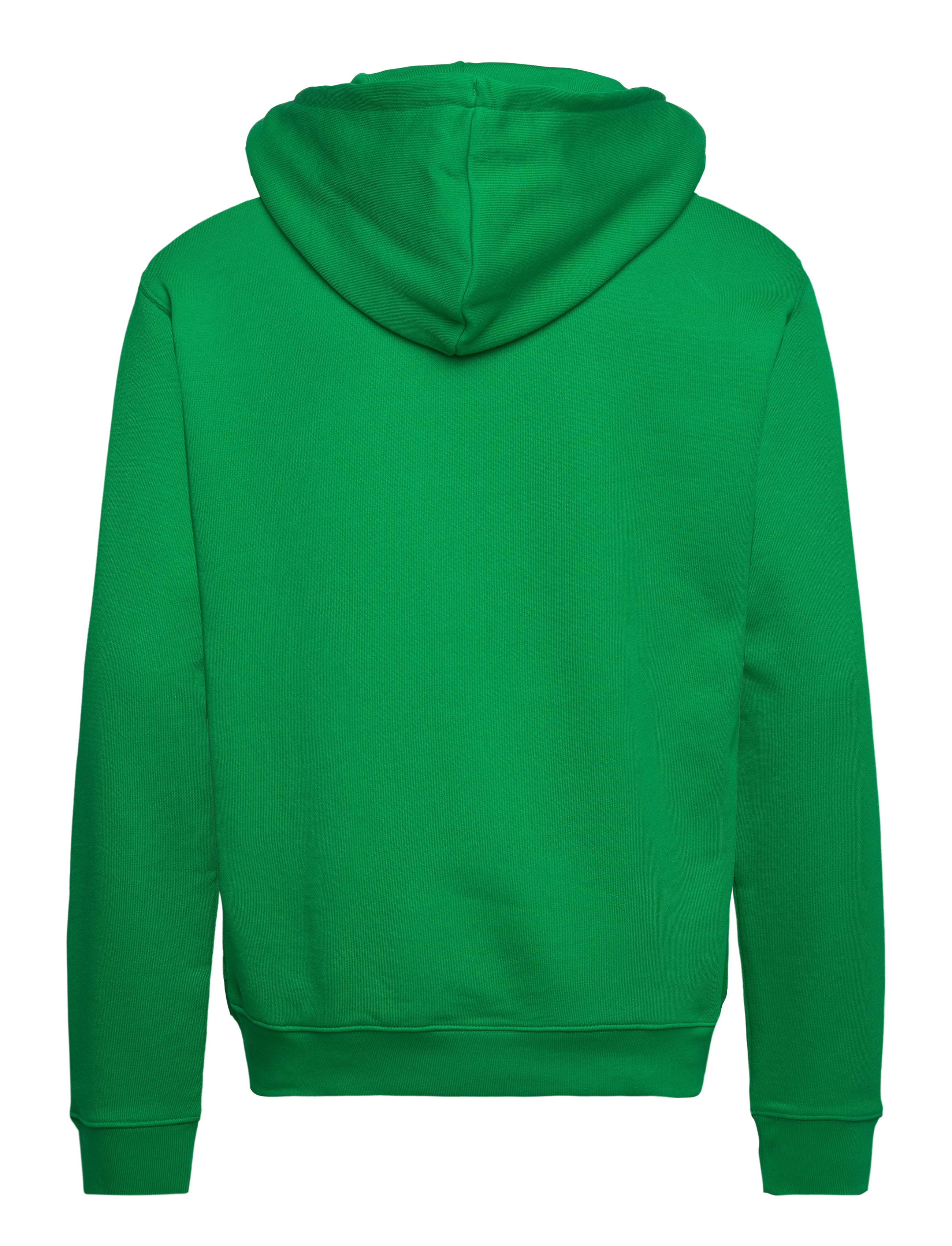 adidas Originals - ADICOLOR CLASSICS TREFOIL HOODY - green - 1