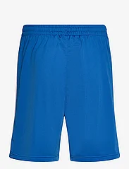 adidas Originals - FBIRD SHORT - training shorts - blubir/white - 1
