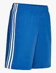 adidas Originals - FBIRD SHORT - training shorts - blubir/white - 2