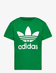 adidas Originals - TREFOIL TEE - short-sleeved t-shirts - green - 0