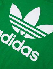 adidas Originals - TREFOIL TEE - short-sleeved t-shirts - green - 2