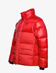 adidas Originals - Midweight Down Puffer Jacket - winter jackets - actred - 2
