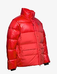 adidas Originals - Midweight Down Puffer Jacket - winter jackets - actred - 3