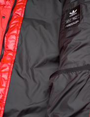 adidas Originals - Midweight Down Puffer Jacket - Žieminės striukės - actred - 7