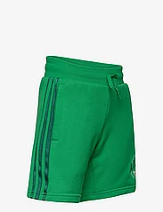 adidas Originals - SHORTS - sweatshorts - green - 3