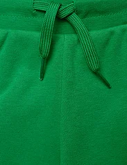 adidas Originals - SHORTS - sweatshorts - green - 4