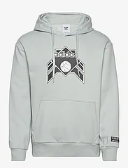 adidas Originals - Hoodie - hoodies - wonsil - 0