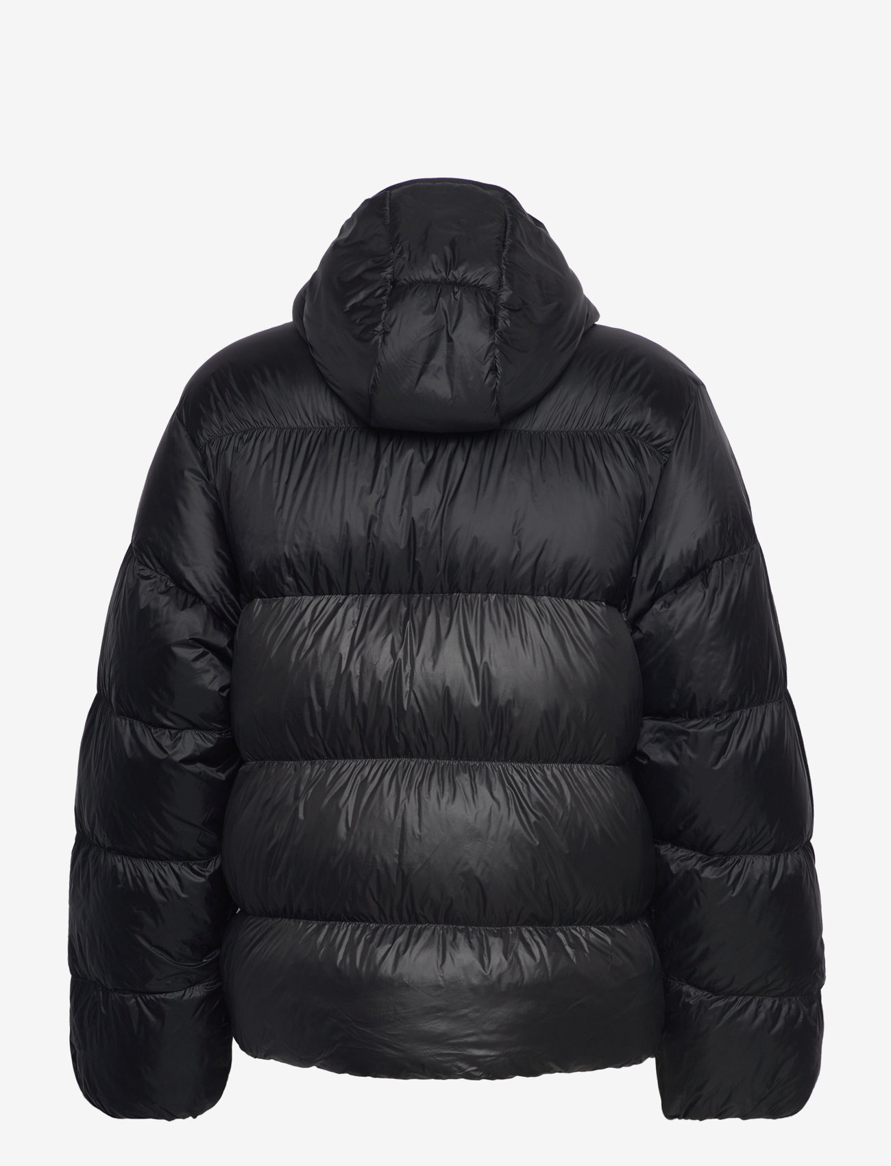 adidas Originals Adidas Originals Adicolor Down Regen (ADIIY6492) Down  jackets