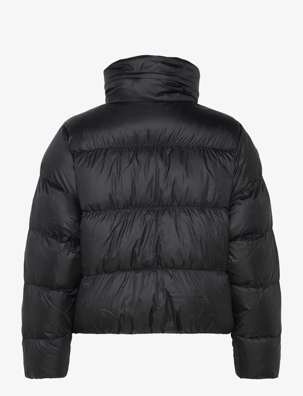 adidas Originals - REGEN CROPPED DOWN PUFFER - daunenjacken - black - 1
