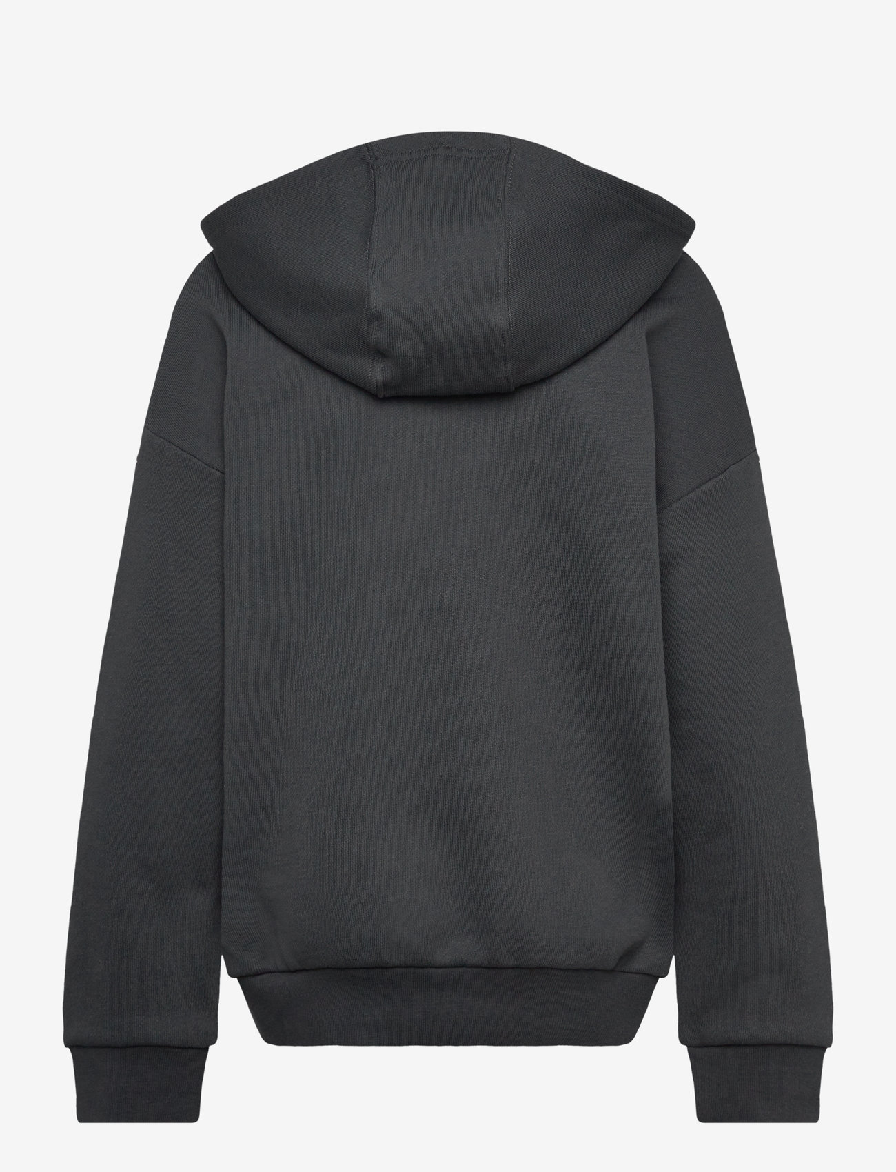 adidas Originals - HOODIE - carbon - 1
