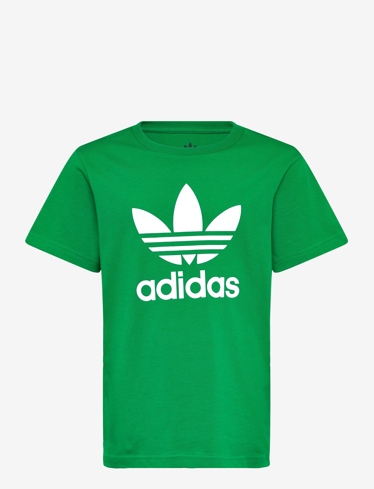adidas Originals - TREFOIL TEE - short-sleeved t-shirts - green - 1