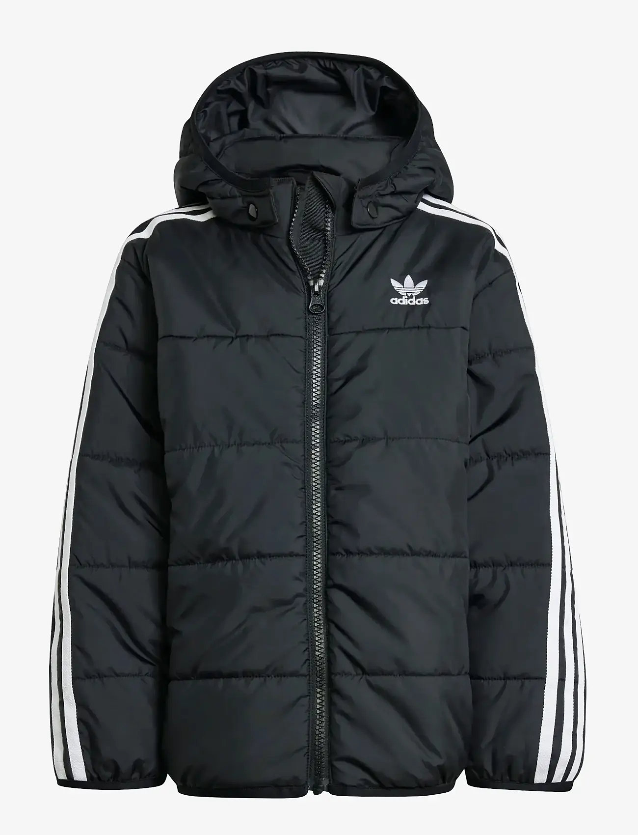 adidas Originals - PADDED JACKET - isolerade jackor - black - 1