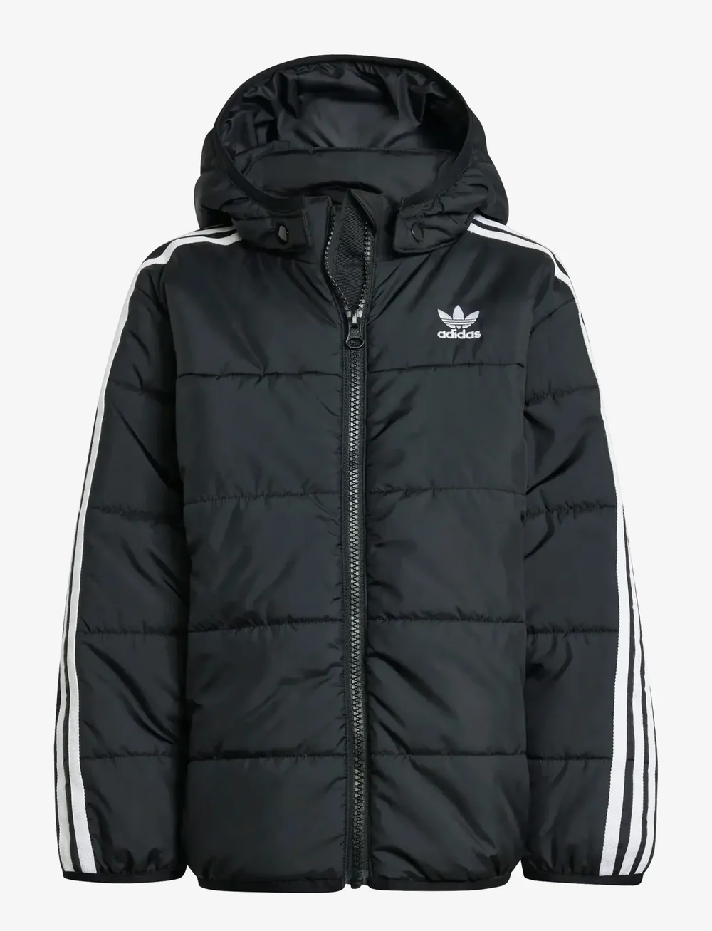 adidas Originals - PADDED JACKET - isolierte jacken - black - 1