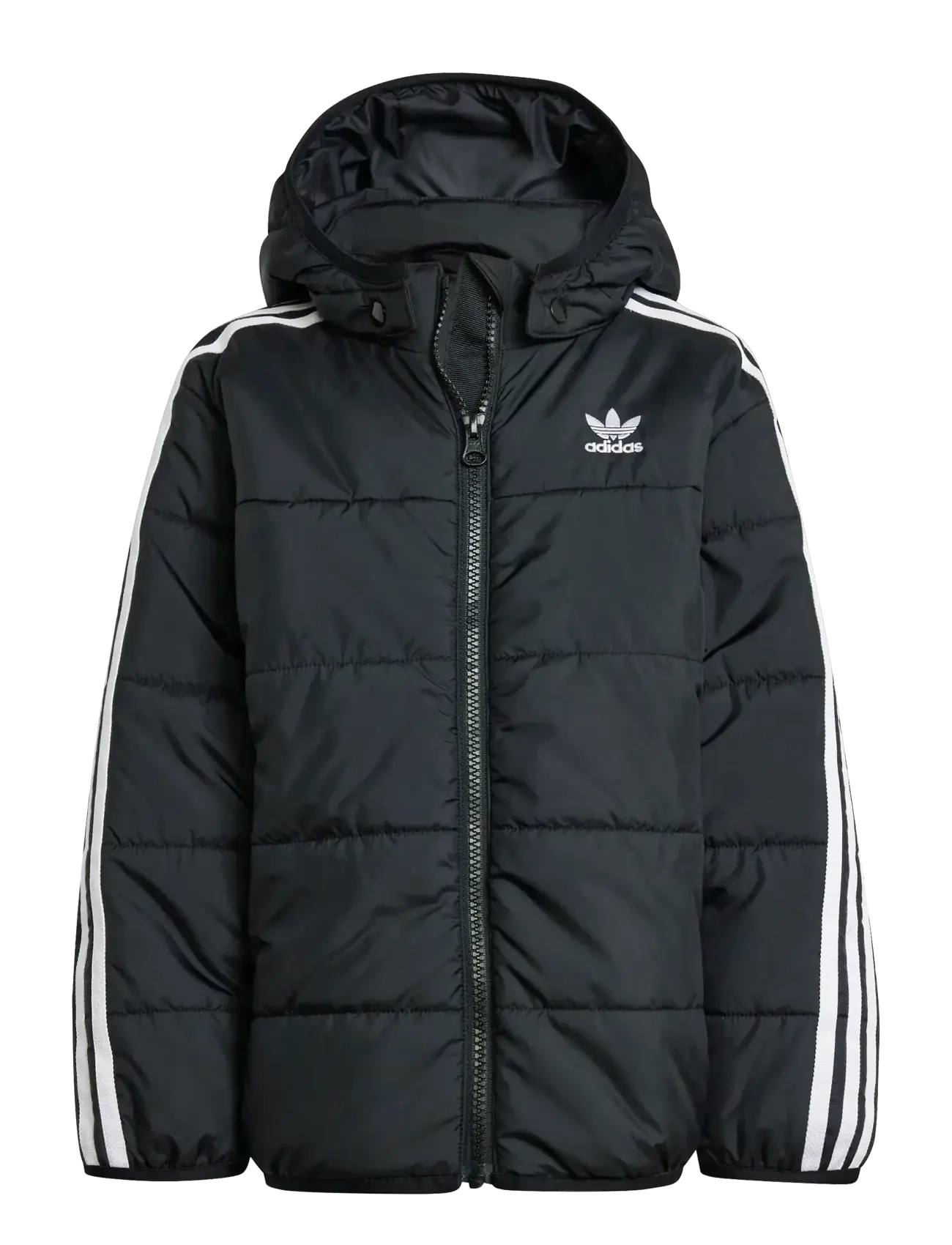 adidas Originals PADDED JACKET - Õueriided - BLACK / black
