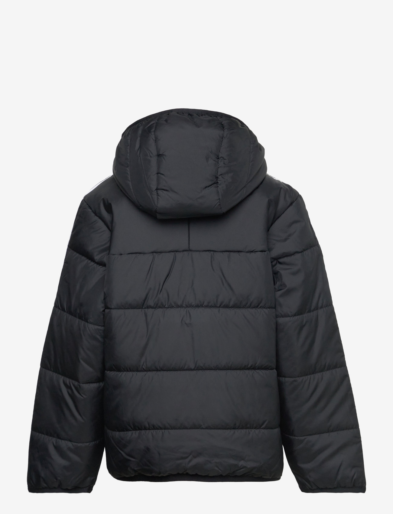 adidas Originals - PADDED JACKET - isolerade jackor - black - 2