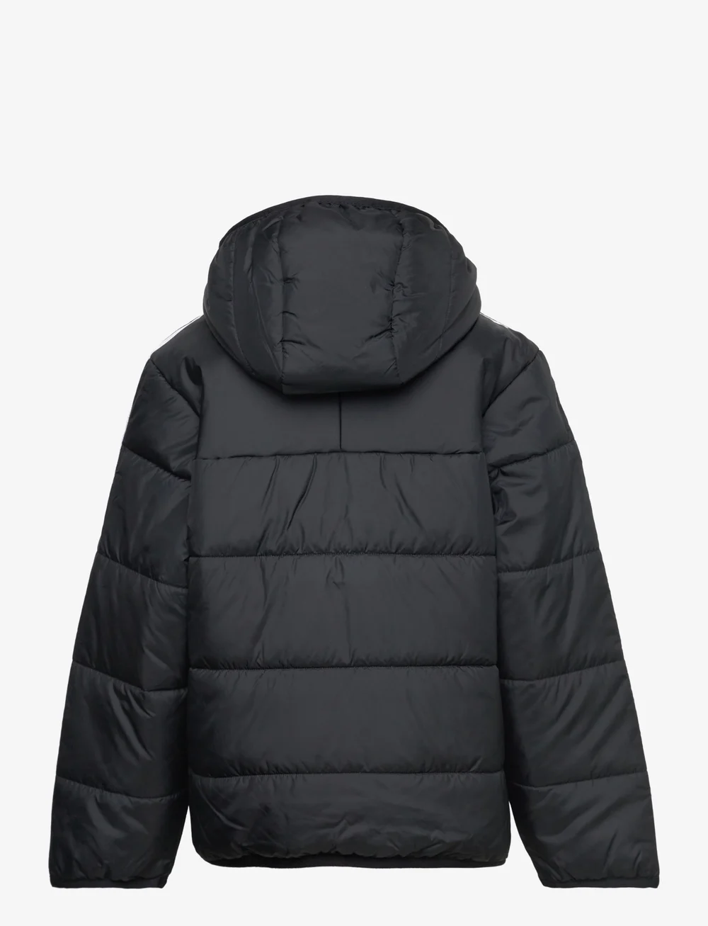 adidas Originals - PADDED JACKET - isolierte jacken - black - 2