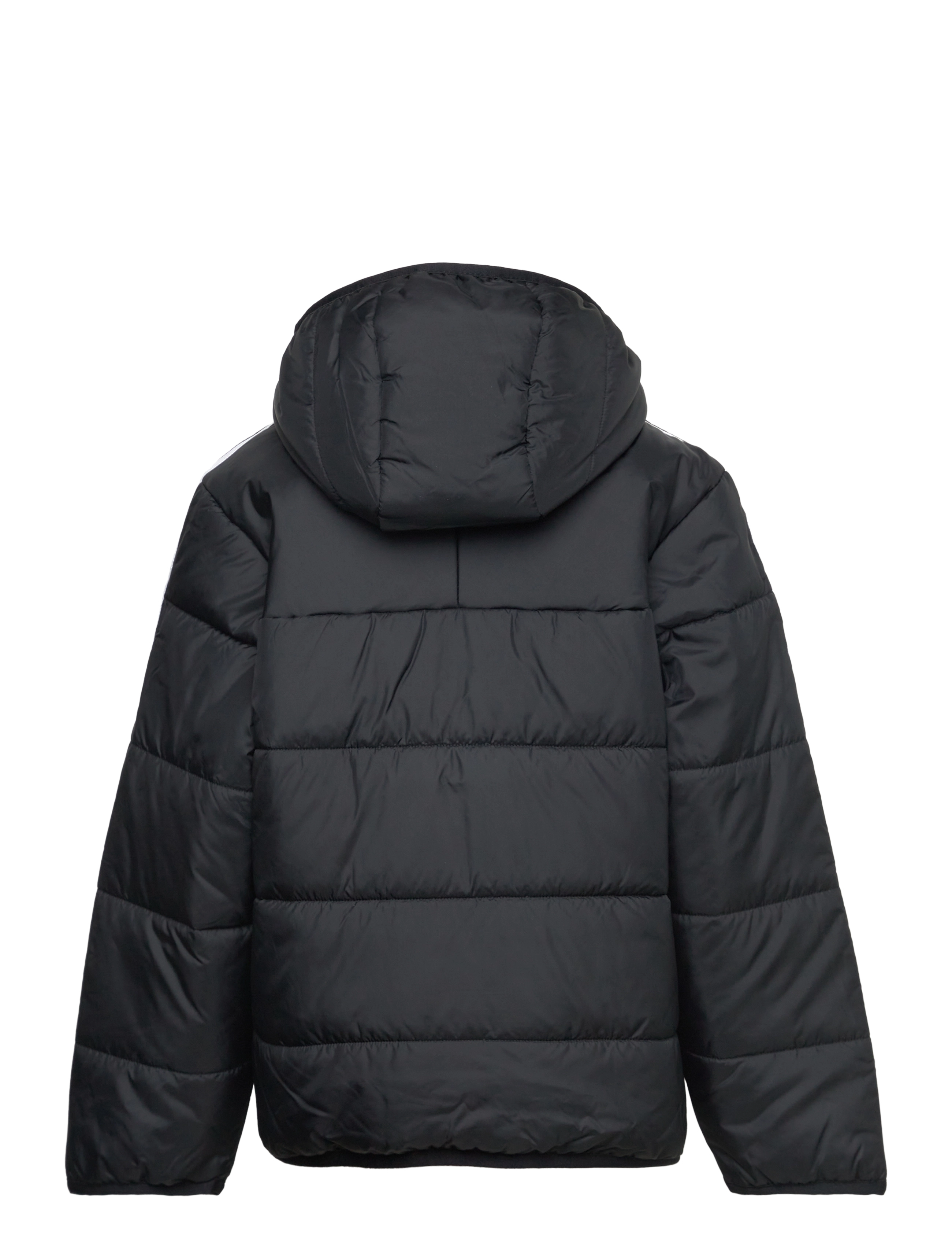 adidas Originals - PADDED JACKET - isolerede jakker - black - 2