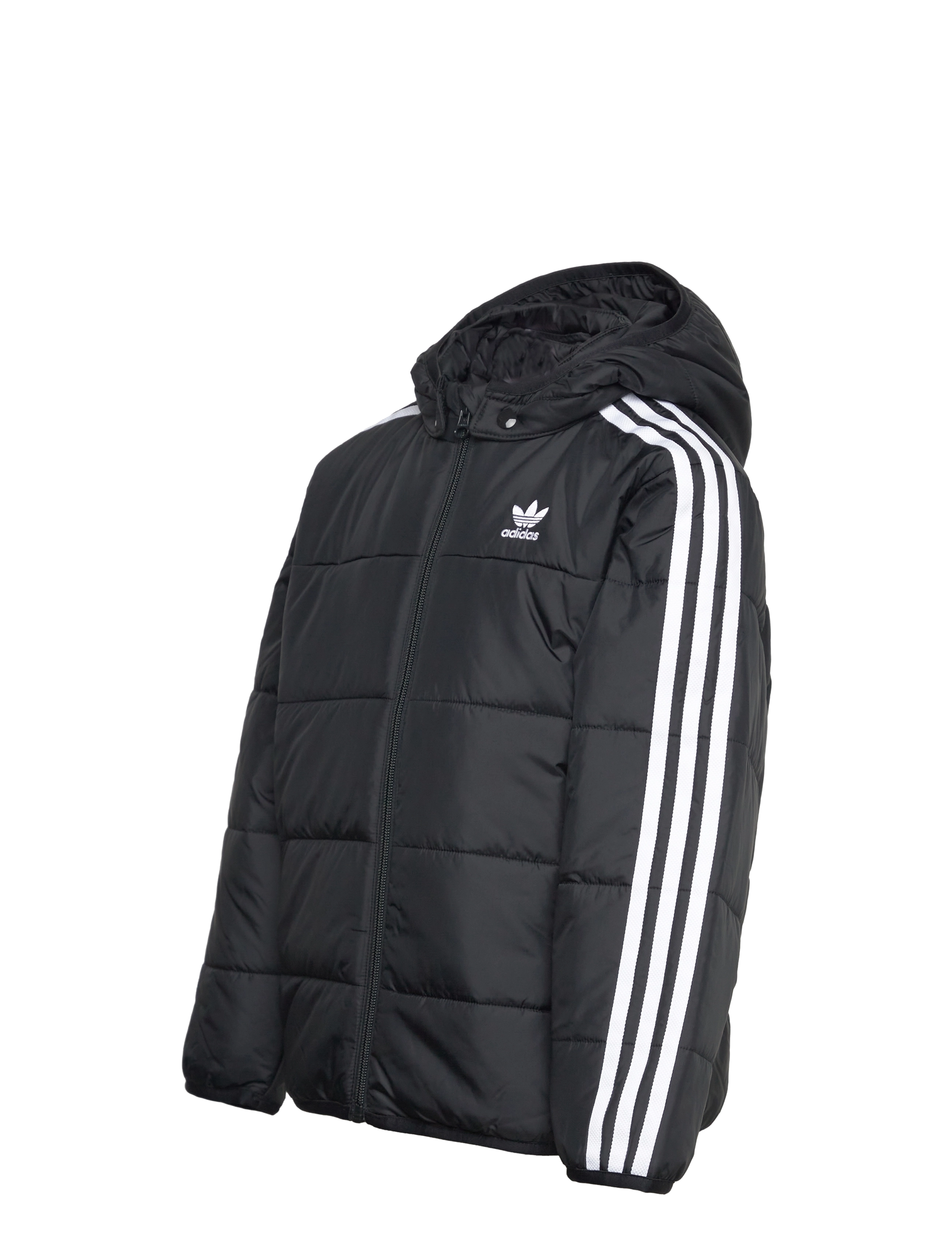 adidas Originals - PADDED JACKET - isolerede jakker - black - 3