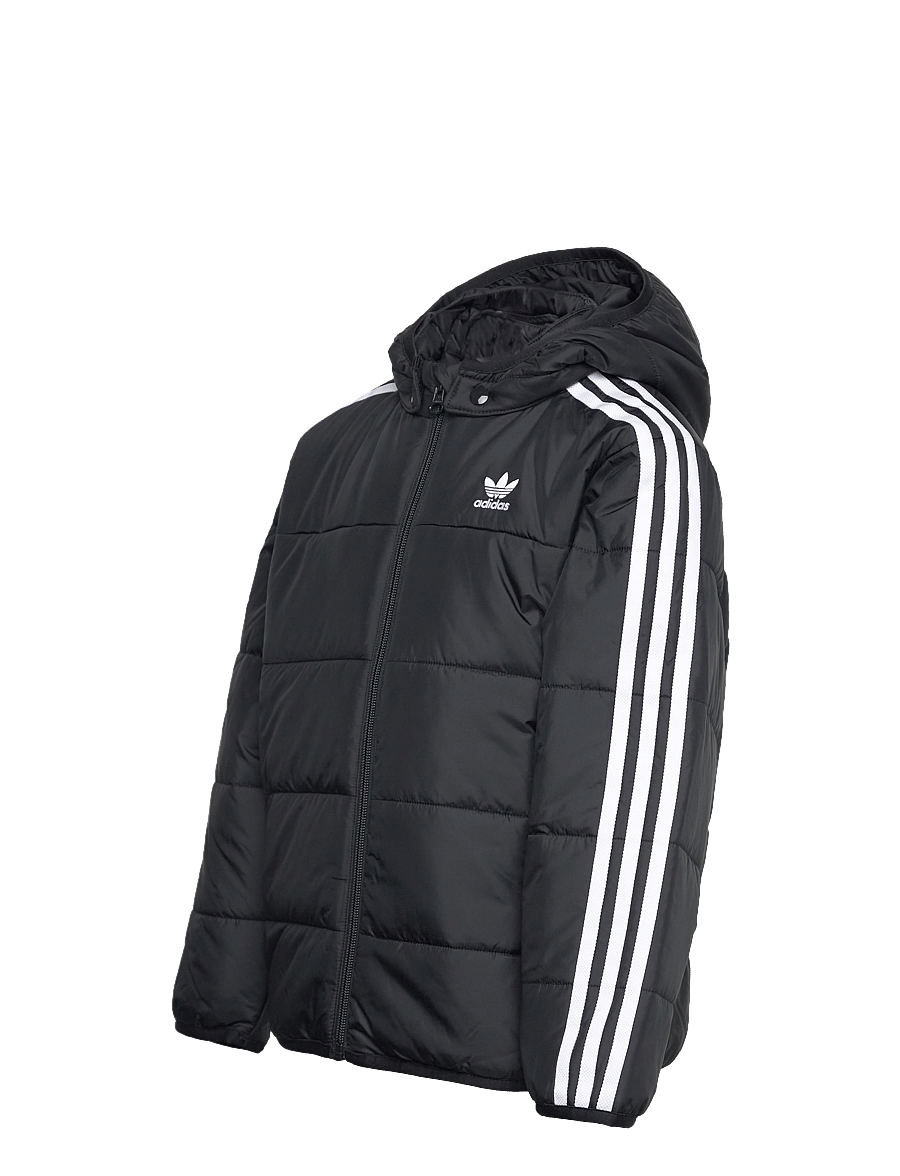 adidas Originals - PADDED JACKET - jakas ar siltu oderi - black - 3