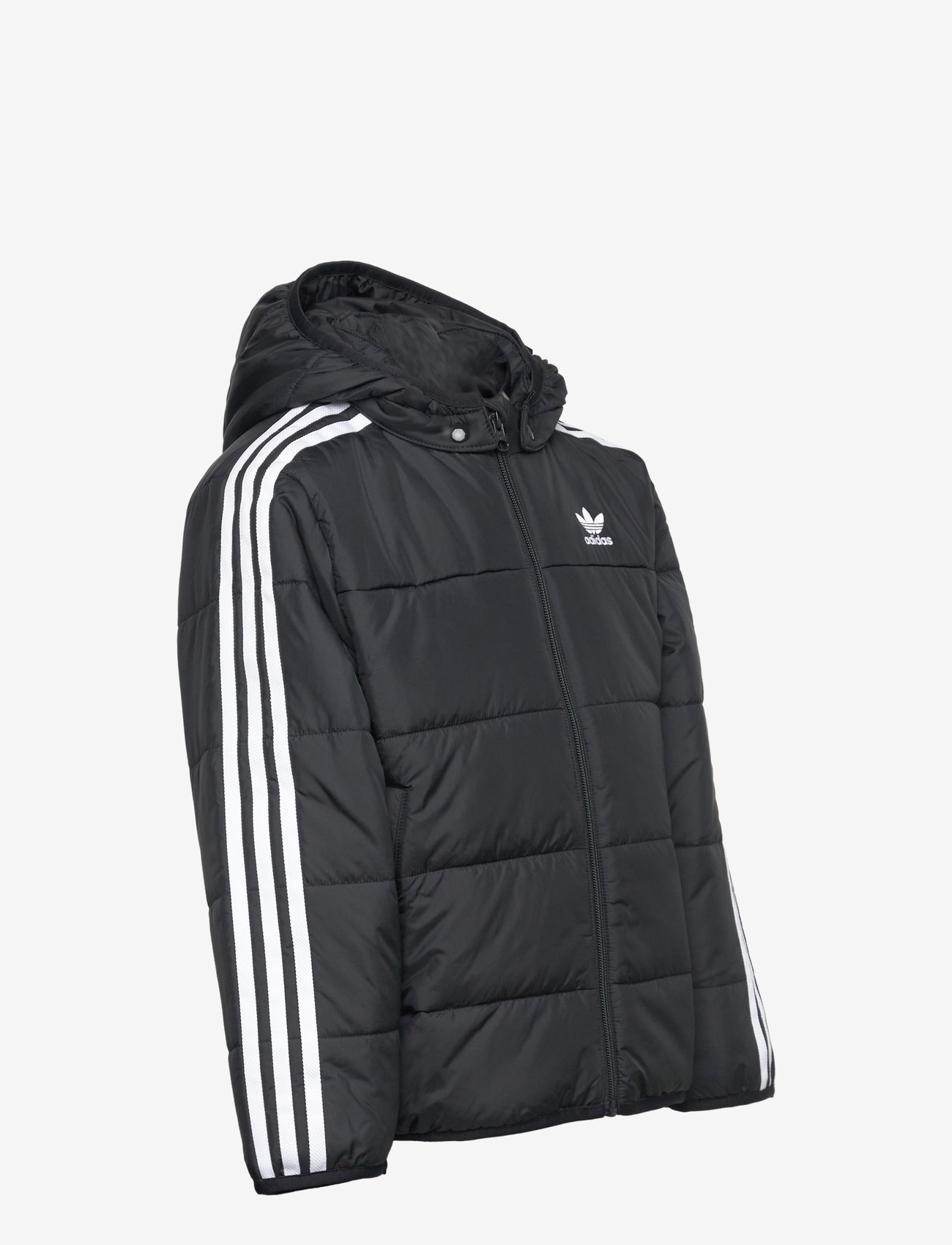 adidas Originals - PADDED JACKET - isolerade jackor - black - 4