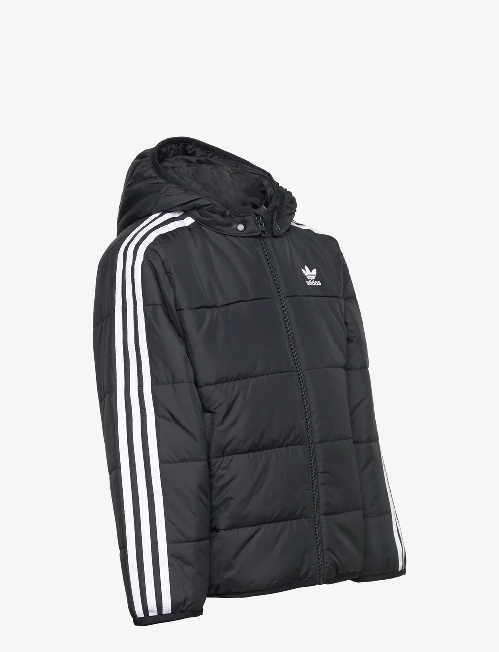 adidas Originals - PADDED JACKET - isolierte jacken - black - 4