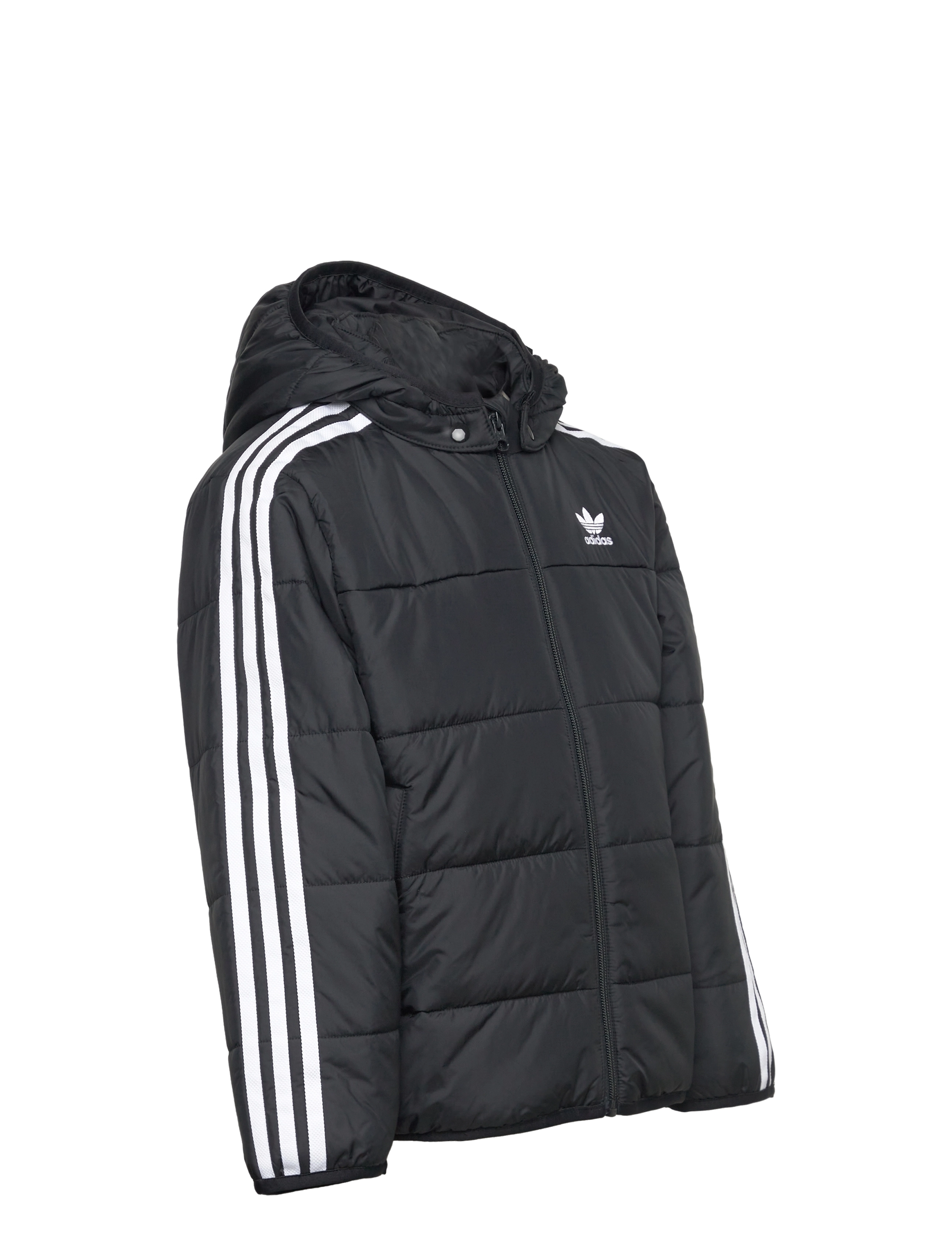 adidas Originals - PADDED JACKET - isolerede jakker - black - 4