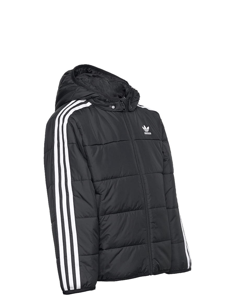 adidas Originals - PADDED JACKET - jakas ar siltu oderi - black - 4