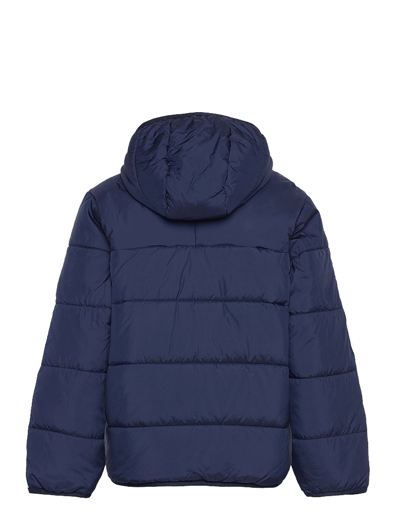 adidas Originals Padded Jacket – puffer padded – shop at Booztlet