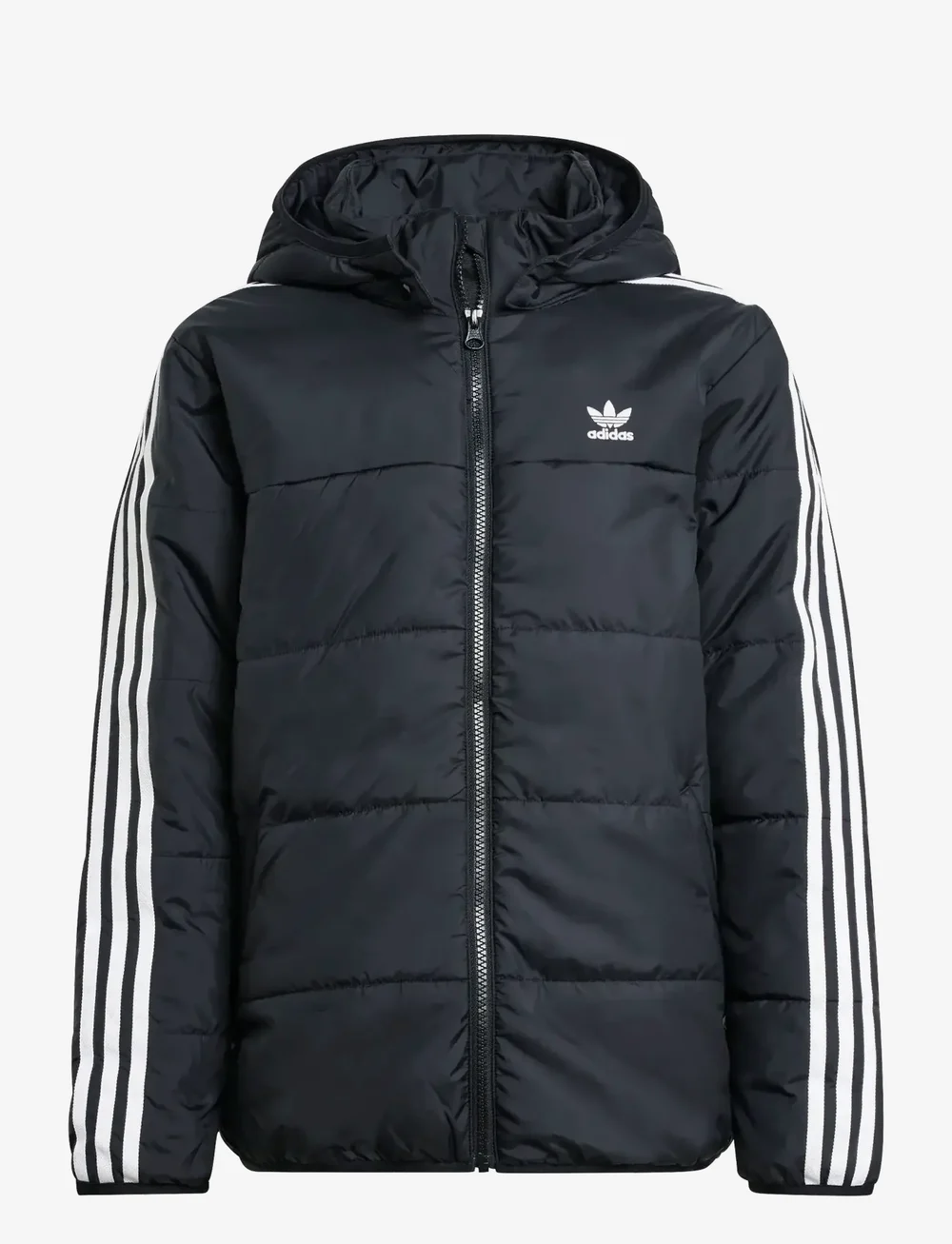 adidas Originals - PADDED JACKET - isolerede jakker - black - 1
