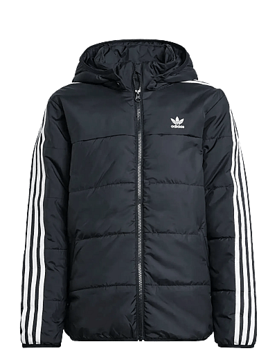 Padded Jacket - Dunjakker & Forede Jakker