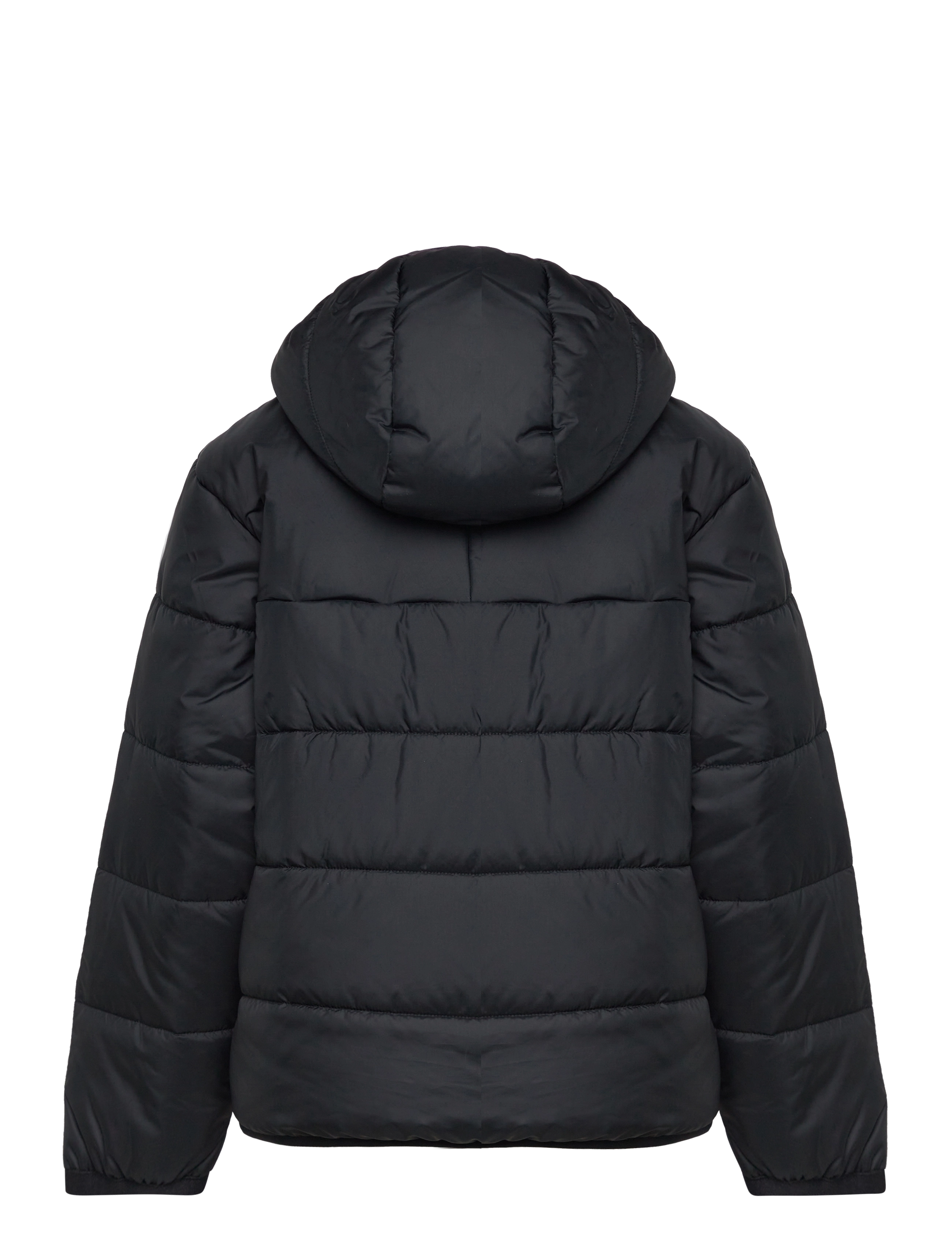 adidas Originals - PADDED JACKET - isolierte jacken - black - 2