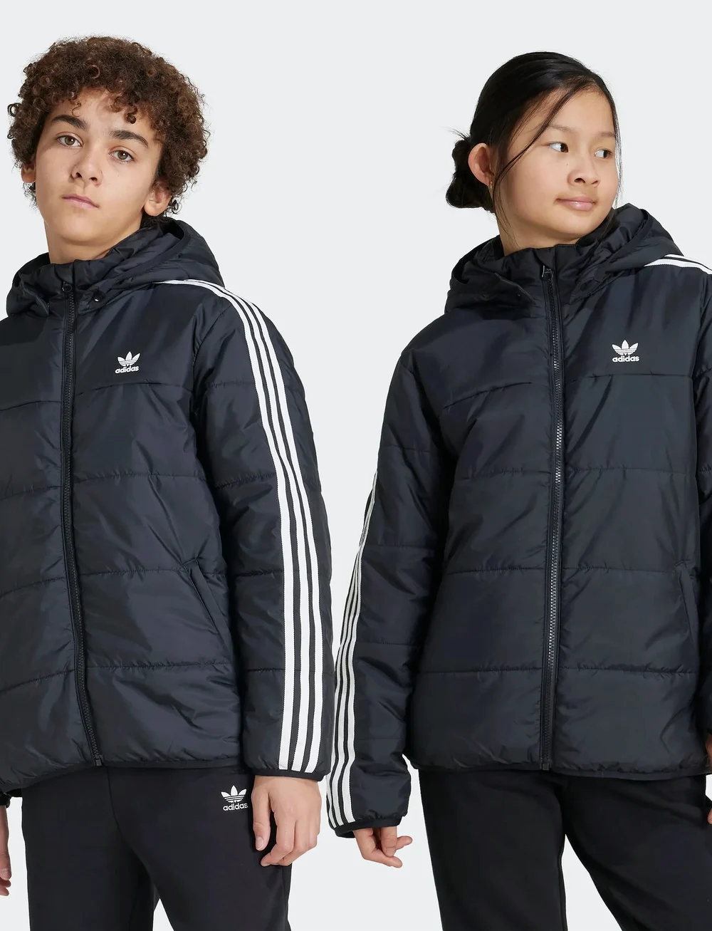 adidas Originals - PADDED JACKET - isolerede jakker - black - 5