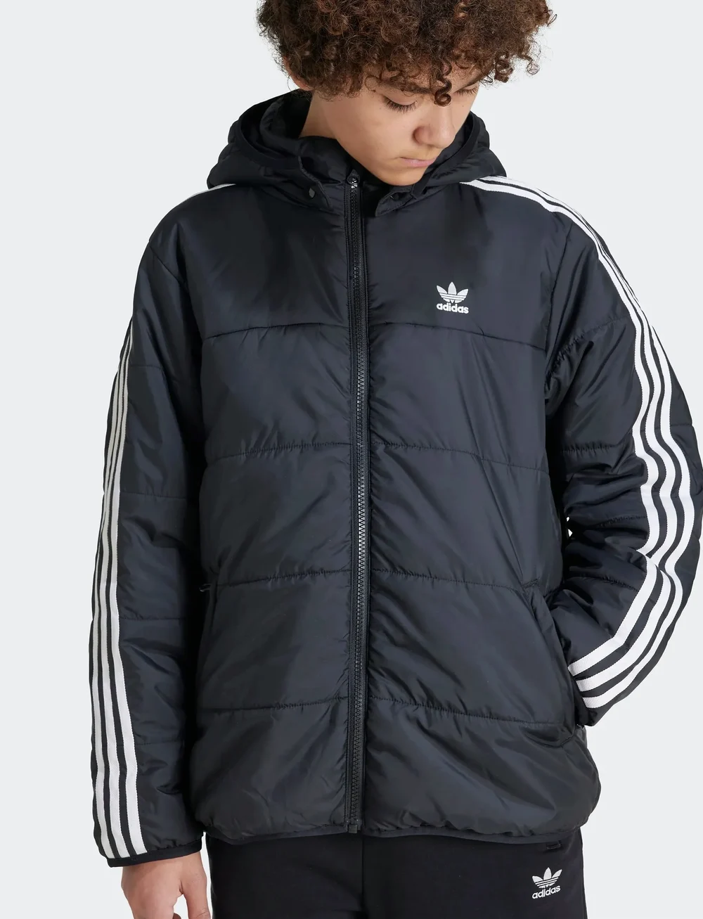 【adidas】 Originals NEW Padded Jacket Black adidas Originals Padded Jacket (ADIIY7497) - Puffer & Padded
