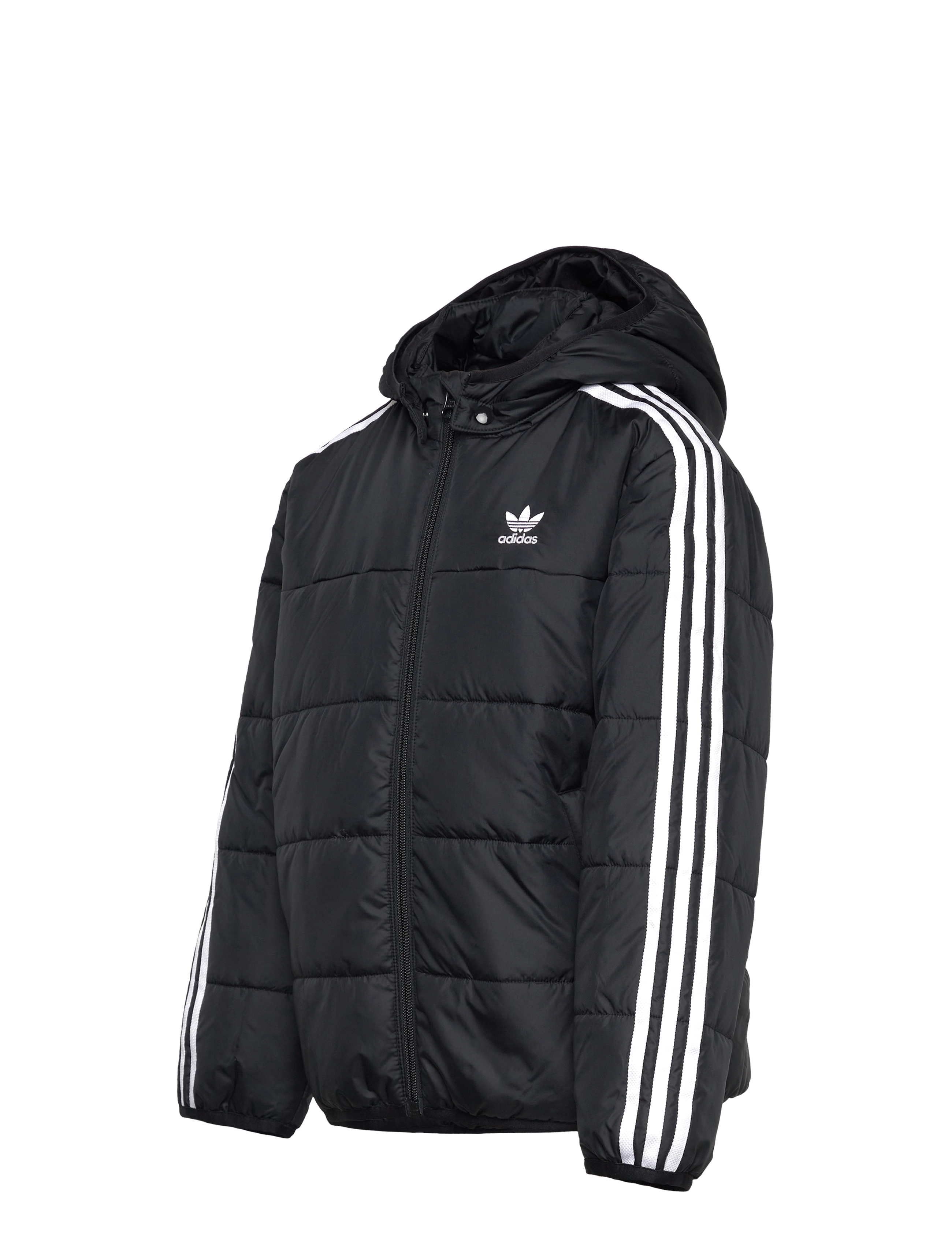 adidas Originals - PADDED JACKET - isolerede jakker - black - 3
