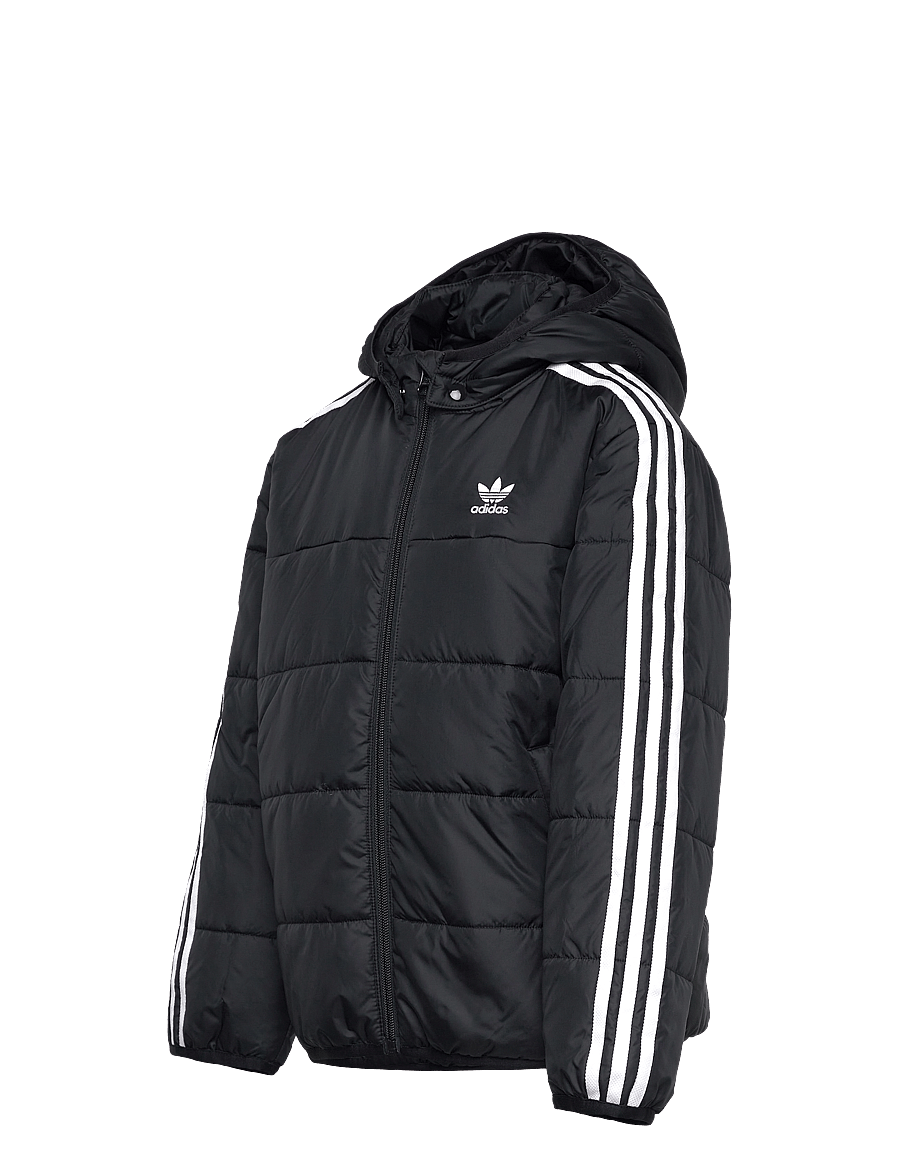 adidas Originals - PADDED JACKET - isolierte jacken - black - 3