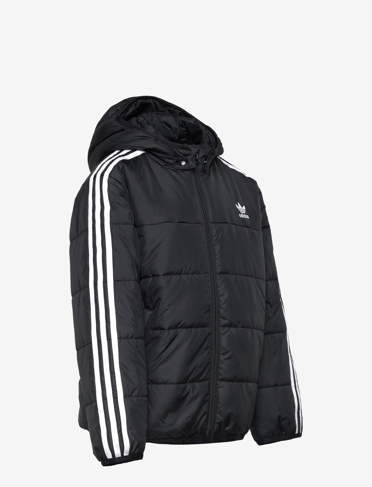 adidas Originals - PADDED JACKET - isolerede jakker - black - 4