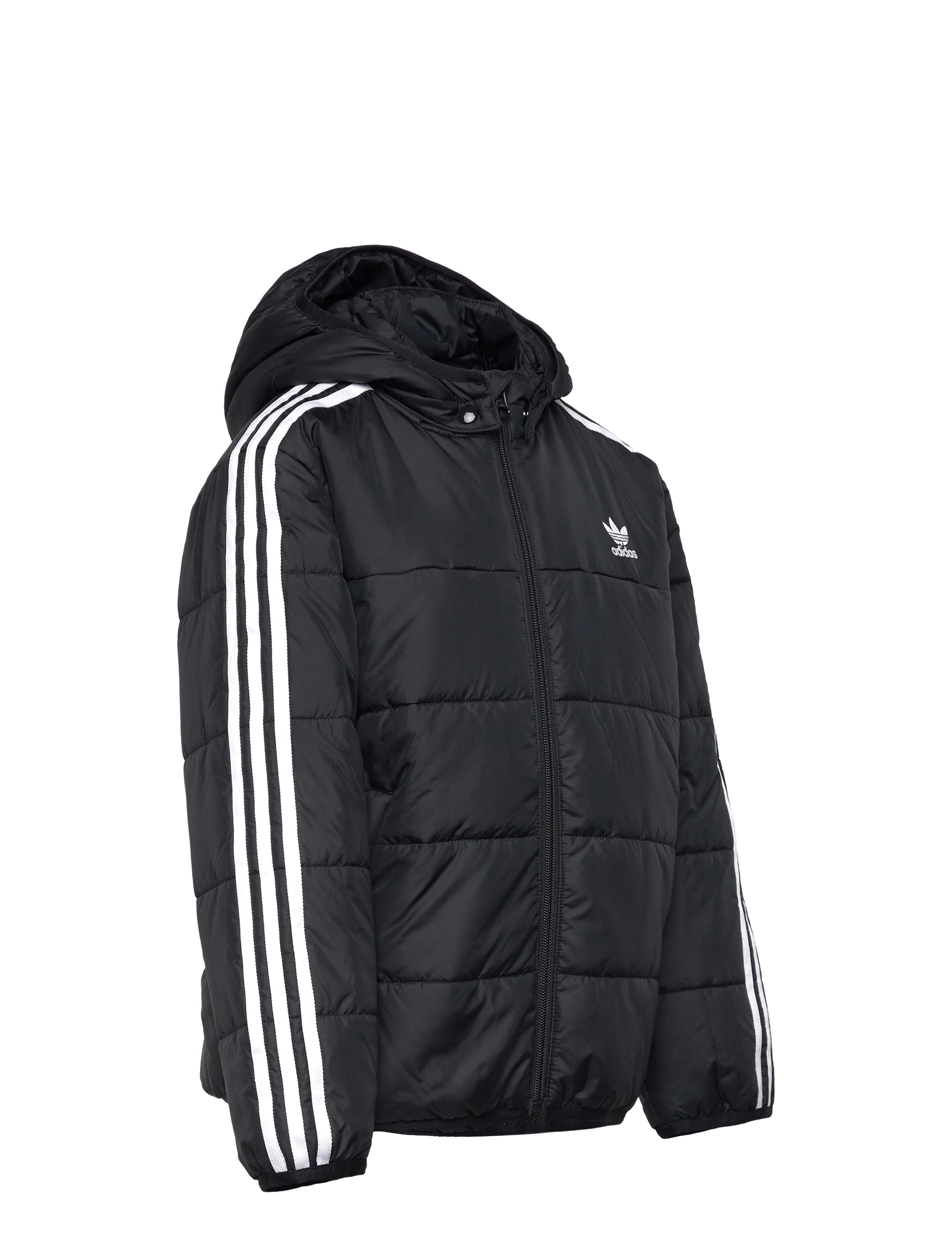 adidas Originals - PADDED JACKET - isolierte jacken - black - 4
