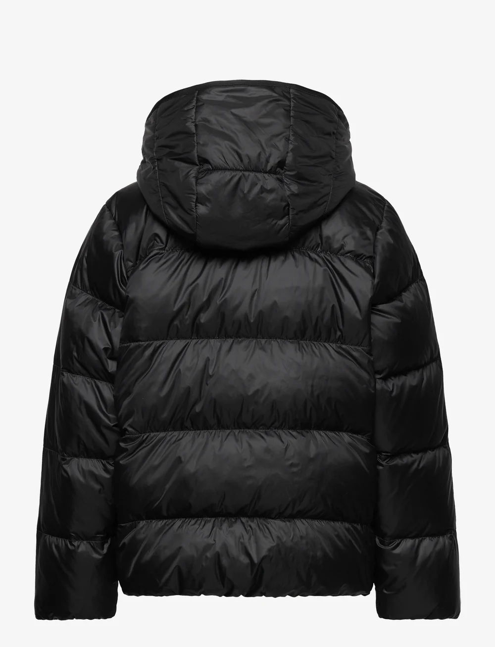 adidas Originals - DOWN JACKET ELO - isolierte jacken - black - 2