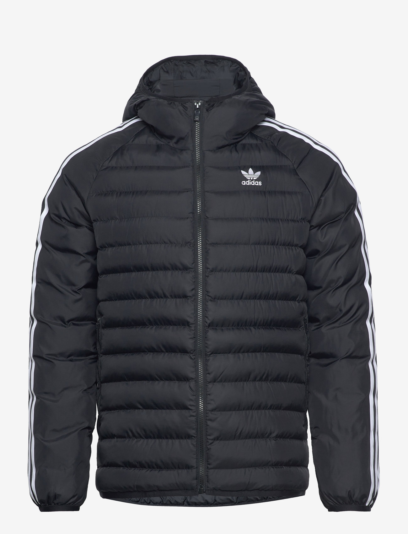 adidas Originals Adidas Originals Synthetic Hooded (ADIIZ1842