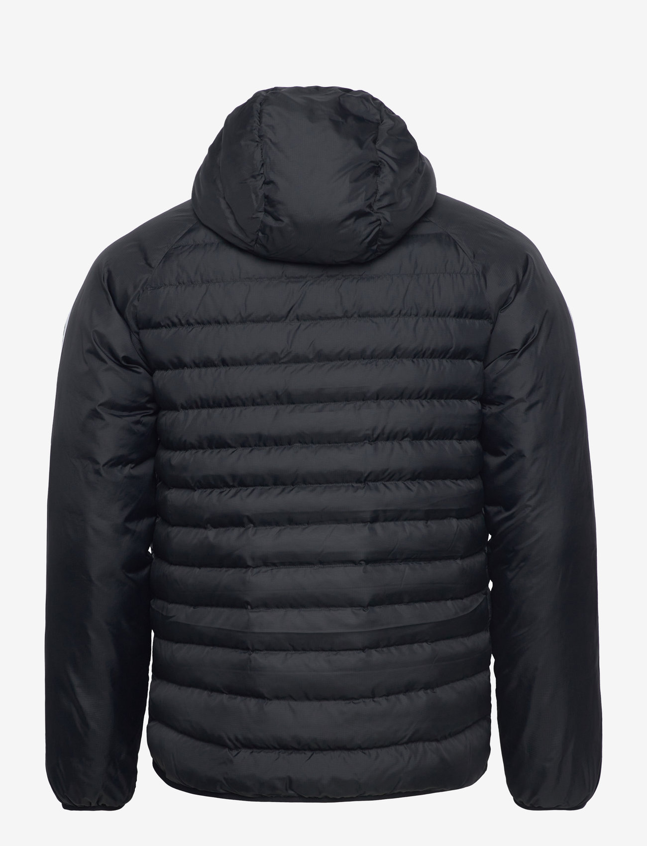 adidas Originals Adidas Originals Synthetic Hooded (ADIIZ1842