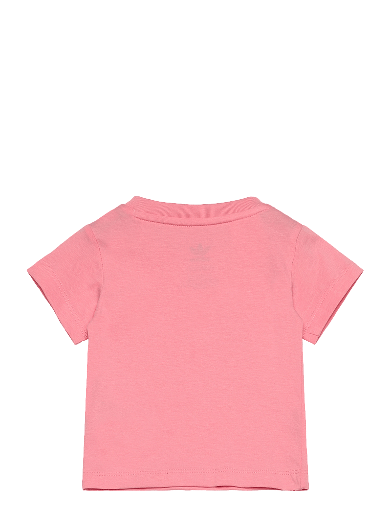 adidas Originals - SHORT TEE SET - 2-osalised komplektid - sepisp - 1