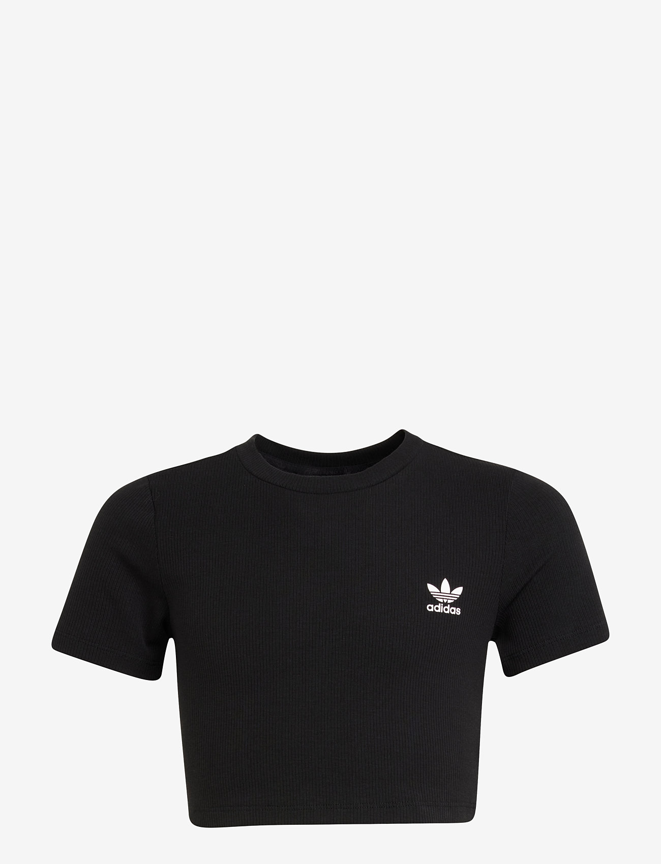 adidas Originals - RIB CROP TEE - sportoberteile - black - 1