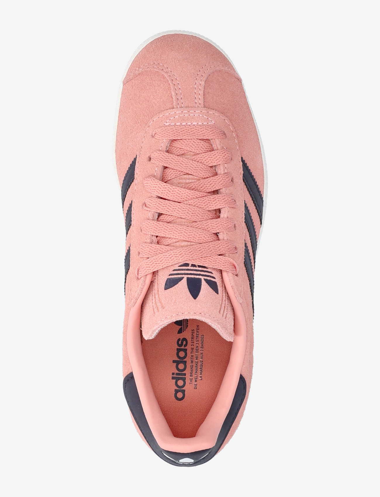 adidas Originals - GAZELLE - niedriger schnitt - glopnk/aurbla/cwhite - 3